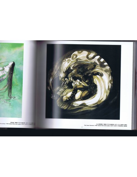 Amano Yoshitaka - Collection of his paintings