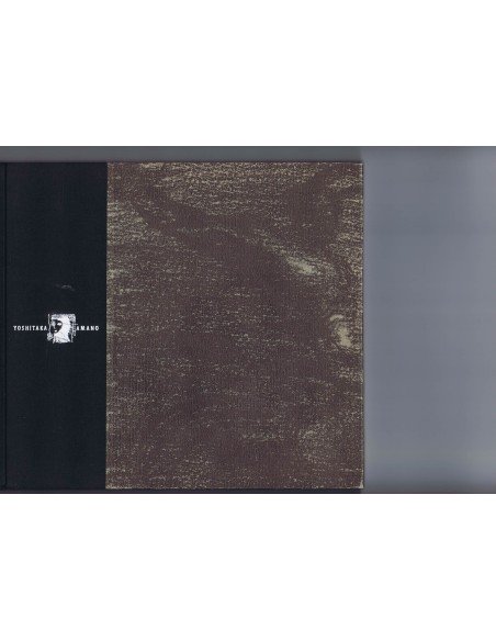 Amano Yoshitaka - Collection of his paintings