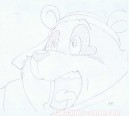 Bamboo Bear original sketch