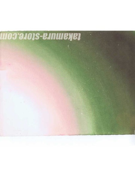 The Door Into Summer - Natsu e no tobira Anime cel