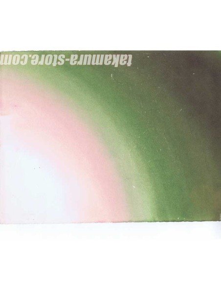 The Door Into Summer - Natsu e no tobira Celluloid