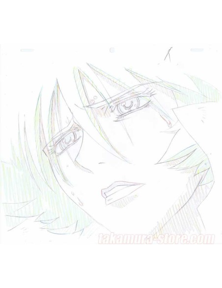 Wolf's Rain crayonné