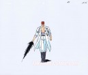 YuYu Hakusho celluloïd