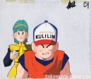 Dragon ball Z anime cel 