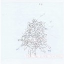 Dragon Ball Z original sketch