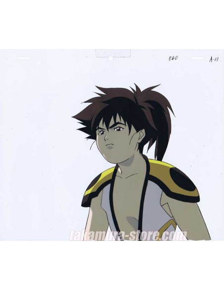The Hakkenden Anime Cel