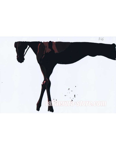 Vampire Hunter D: Bloodlust  celluloïd