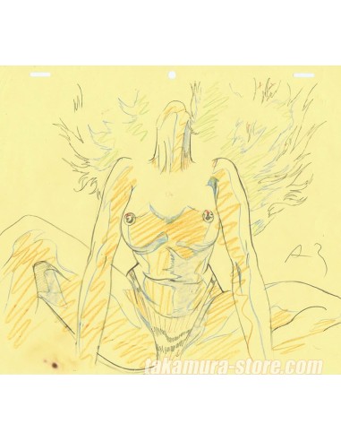Midnight Eve Goku anime cel