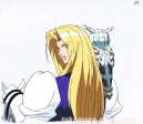 Vision of Tenku Escaflowne celluloid