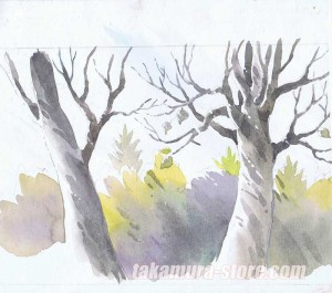 Crocus/Memoru celluloid 