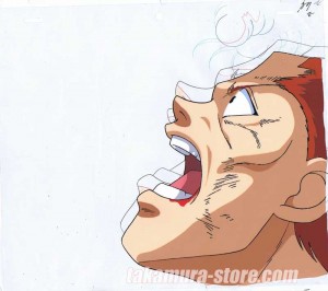 YuYu Hakusho celluloïd