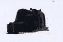 Vampire Hunter D: Bloodlust  celluloïd