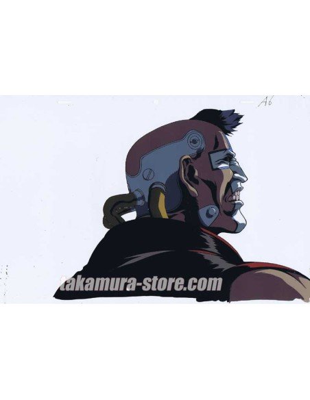 Vampire Hunter D: Bloodlust  anime cel