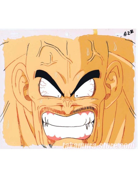 Dragon ball Z celluloïd 