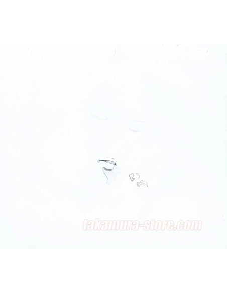 Demon City Shinjuku set of original sketches