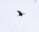 Captain Harlock anime cel