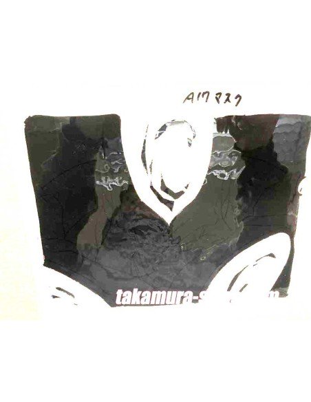 Dragon ball Z anime cel 