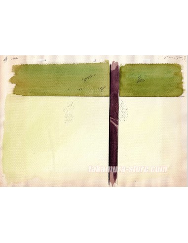 Chie la petite peste celluloid