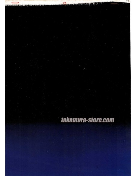 Saint Seiya/chevaliers du zodiac celluloid