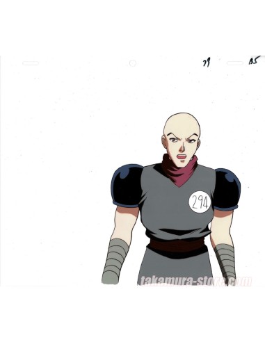 Hunter X Hunter celluloid