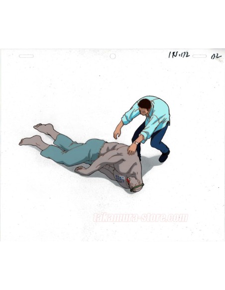 Hunter X Hunter celluloid