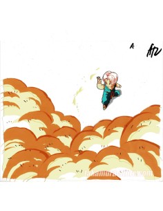 Dragon ball Z celluloïd 2