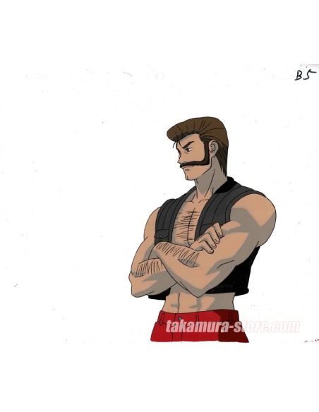 Hunter X Hunter celluloid