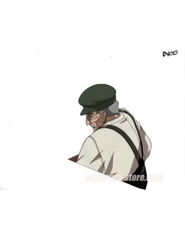 Vampire Hunter D: Bloodlust  anime cel