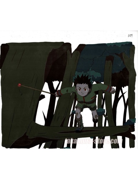 Hunter X Hunter celluloid