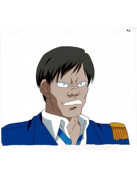 Shin Hakkenden anime cel