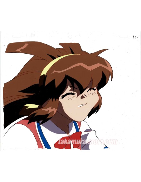 Shin Hakkenden anime cel