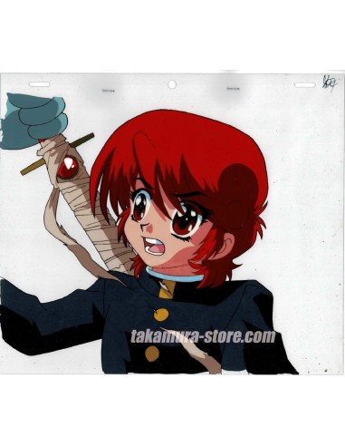 Shin Hakkenden celluloid