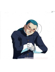 Shin Hakkenden celluloid