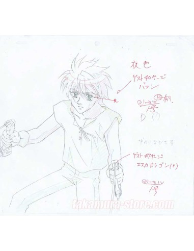 Vision of Tenku Escaflowne sketch