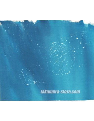 Dragon ball Z celluloïd