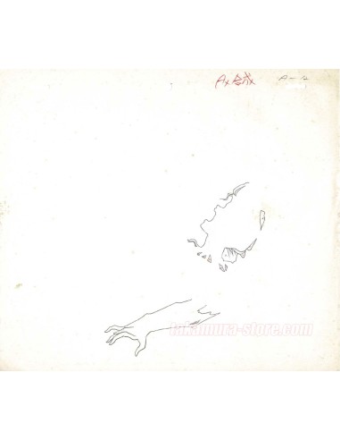 YuYu Hakusho celluloïd