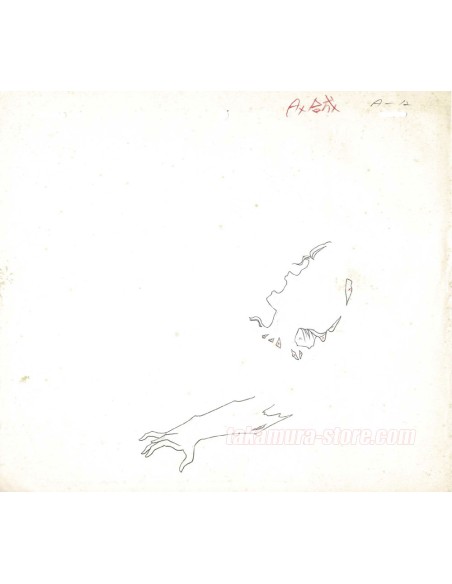 YuYu Hakusho celluloïd