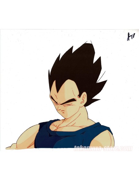 Dragon ball Z anime cel