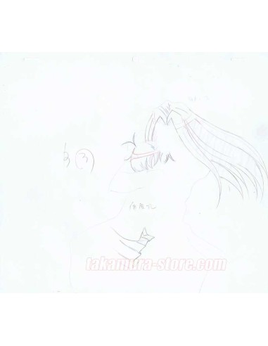 Vision of Tenku Escaflowne crayonné