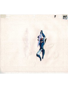 Saint Seiya/chevaliers du zodiac celluloid