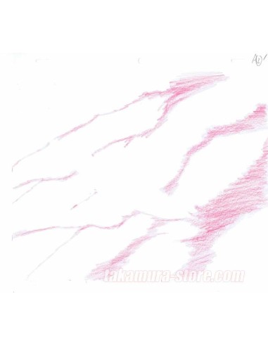 Ginga Nagareboshi Gin crayonmé original
