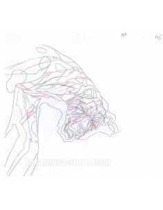 Ginga Nagareboshi Gin crayonmé original