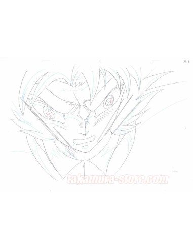 Saint Seiya Tenkai-hen movie sketch