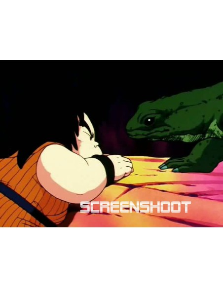 Dragon ball celluloïd