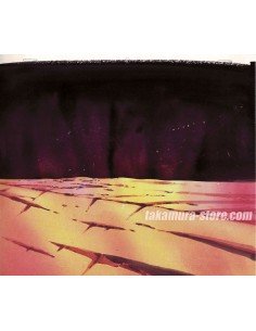 Dragon ball anime cel 2