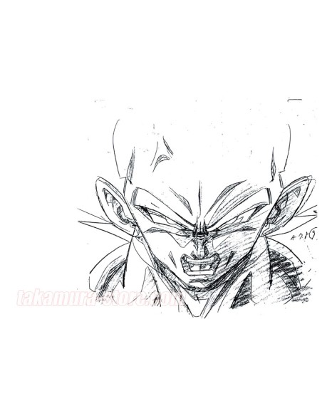 Dragon Ball Z Vegeta Sketches