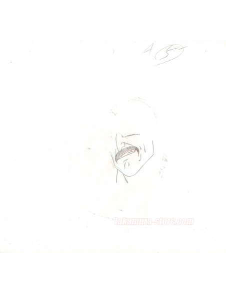 Dragon ball anime cel