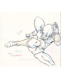 Dragon Ball Z lot de crayonnés originaux