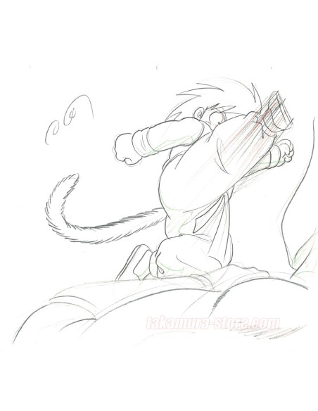 Dragon Ball original sketch