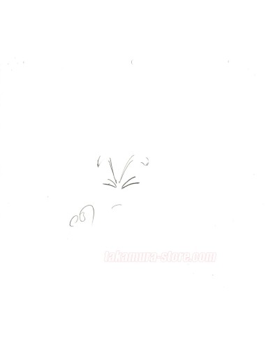 Dragon Ball crayonné original